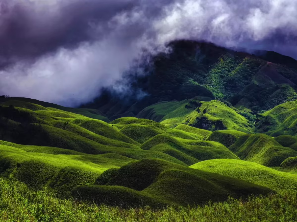 Green rolling hills of Northeast India